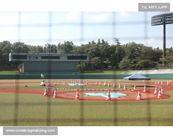 日本球场安全事故目视检查常规不足导致隐患未被及时发现的问题分析